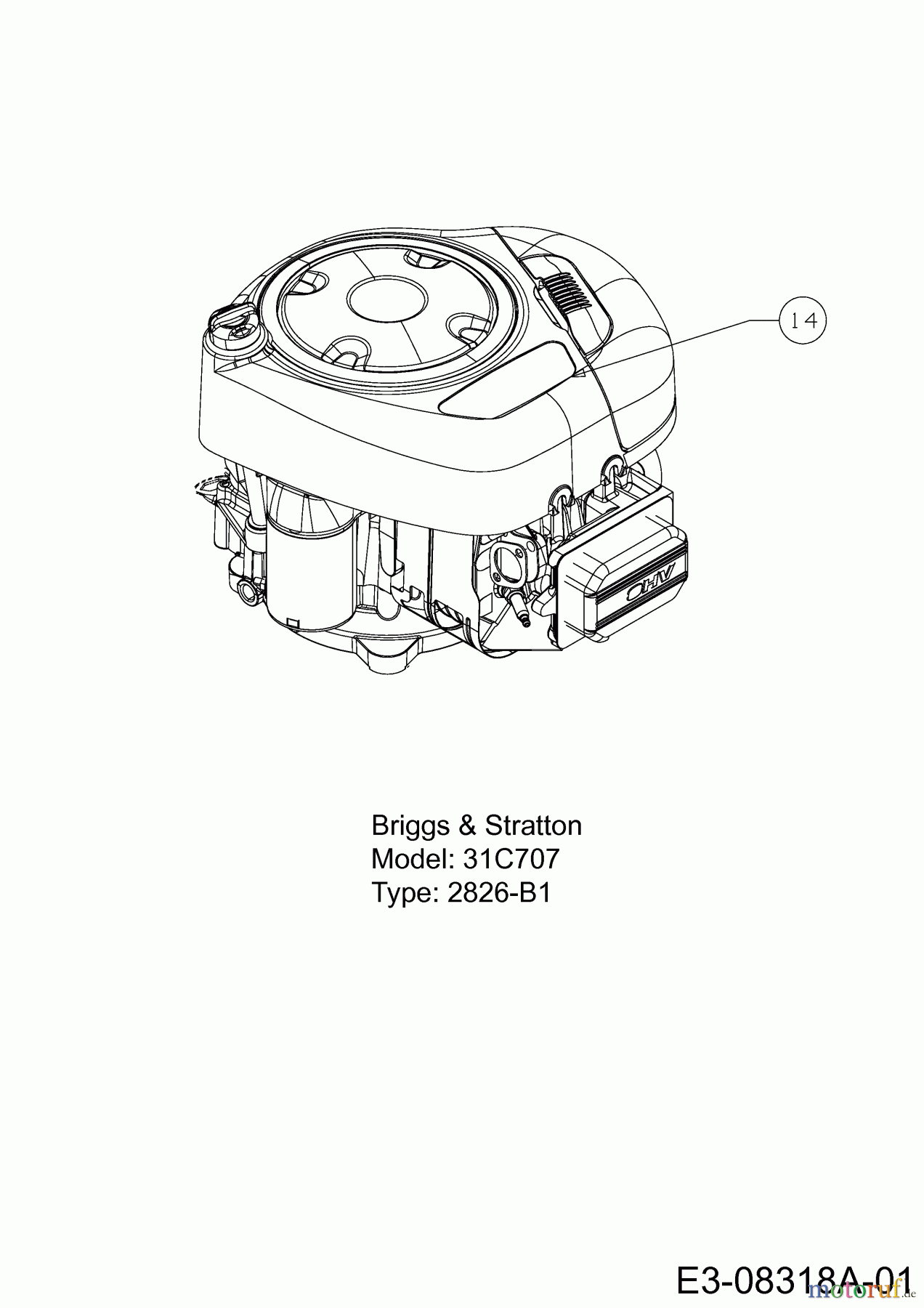  Blisar Rasentraktoren GN 175 13AN763N607  (2013) Motor Briggs & Stratton