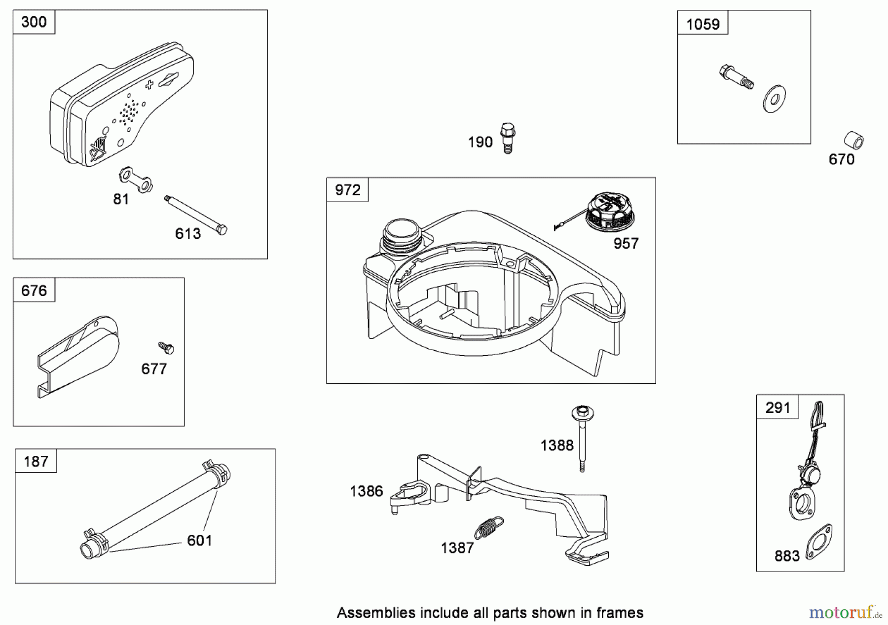  Toro Neu Mowers, Walk-Behind Seite 1 20090 - Toro Super Recycler Lawn Mower, 2009 (290000001-290999999) MUFFLER AND FUEL TANK ASSEMBLY BRIGGS AND STRATTON 126T02-0224-B1